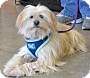 Adopt A Pet :: Trixie - Simi Valley, CA