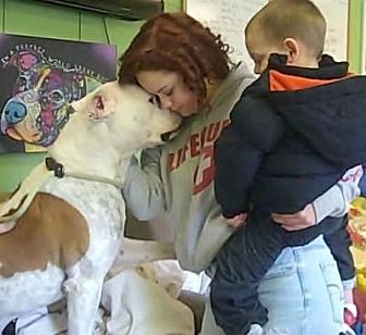 find a pet to adopt petsmart charities find a pet to adopt petsmart charities