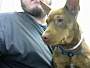 Adopt A Pet :: SQUATTY - Conroe, TX