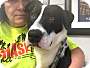 Adopt A Pet :: Rizzo - Glastonbury, CT
