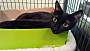 Adopt A Pet :: Kiara - South Haven, MI
