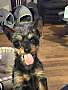 Adopt A Pet :: Magpie - Costa Mesa, CA