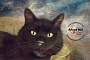 Adopt A Pet :: Meow - Belton, MO