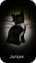 Adopt A Pet :: Juniper - Winchester, VA